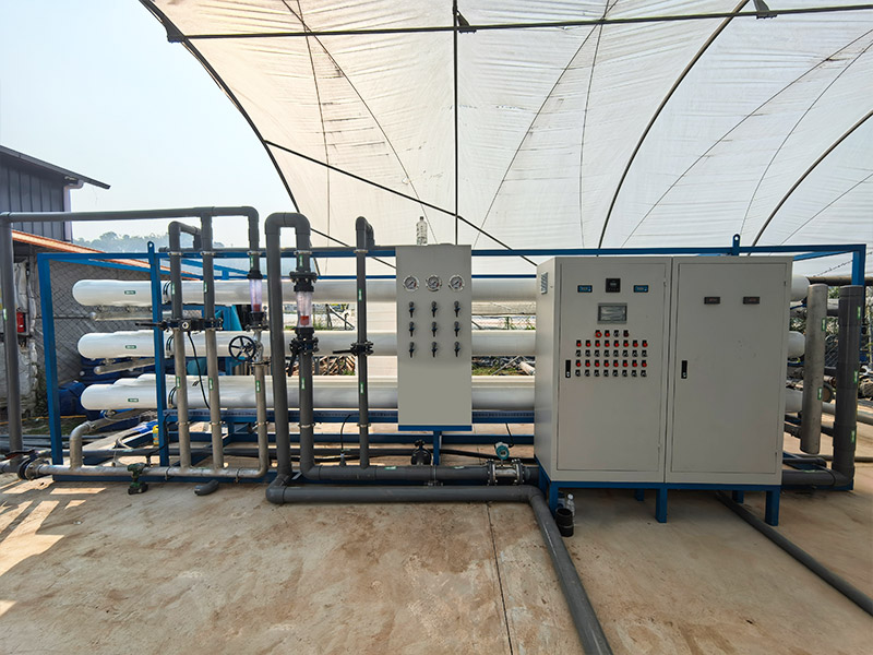 1776062307225527.jpg 2.jpg